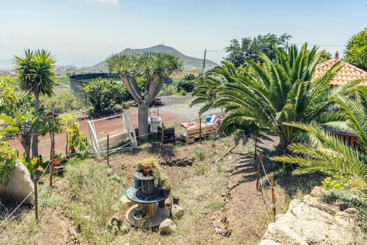 גרנדילה דה אבונה Apartamento B Armonia Rural מראה חיצוני תמונה
